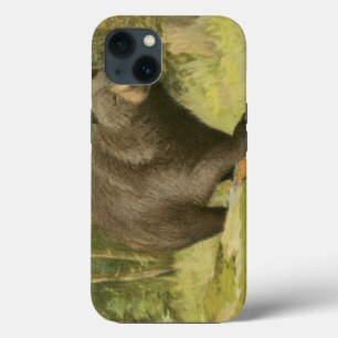 Black Bear Stepping on a Tree Trunk iPhone Case