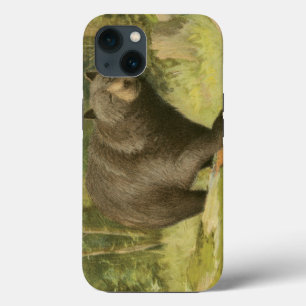 Black Bear Stepping on a Tree Trunk iPhone Case