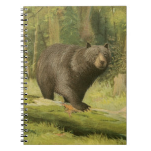 Black Bear Stepping on a Tree Trunk Notebook