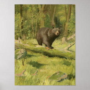 Black Bear Stepping on a Tree Trunk Poster