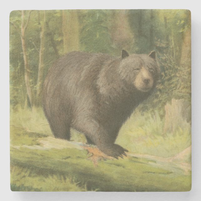 Black Bear Stepping on a Tree Trunk Stone Coaster (Front)