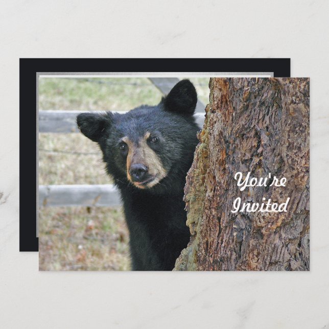 Black Bear Tree Photo Birthday Invitation (Front/Back)