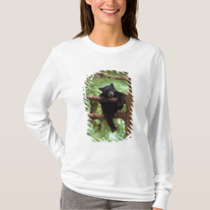 black bear, Ursus americanus, cub in a tree T-Shirt