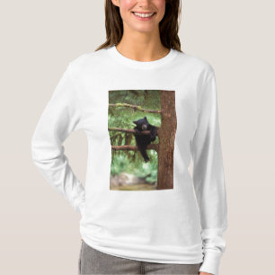 black bear, Ursus americanus, cub in a tree T-Shirt