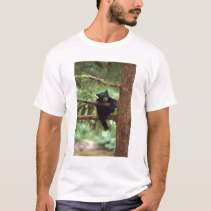 black bear, Ursus americanus, cub in a tree T-Shirt