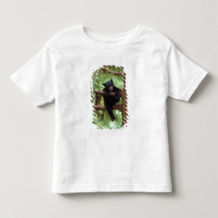 black bear, Ursus americanus, cub in a tree Toddler T-Shirt