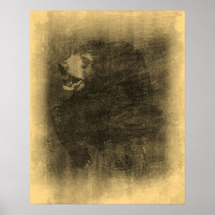 Black Bear Vintage Art Posters