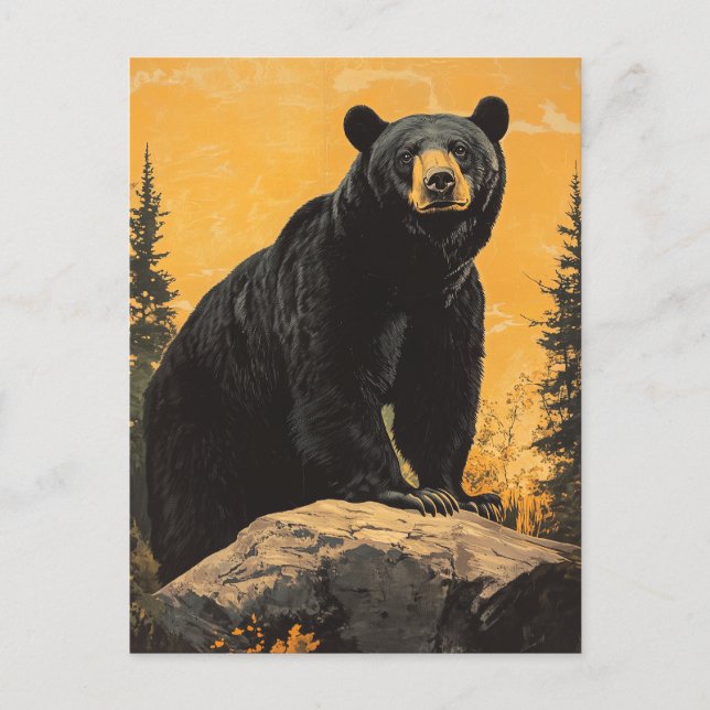 Black Bear vintage Postcard (Front)