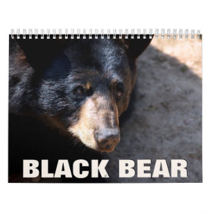 Black Bear Wall Calendar