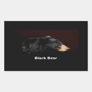 Black Bear Wildlife Sticker Gifts