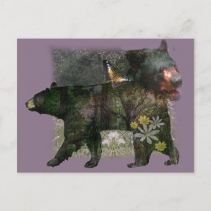 Black Bear Woodland Within Postcard