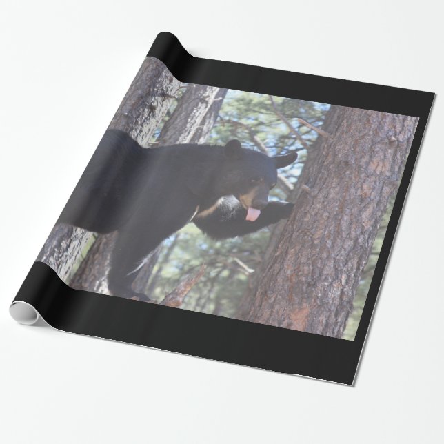 Black Bear Wrapping Paper (Unrolled)