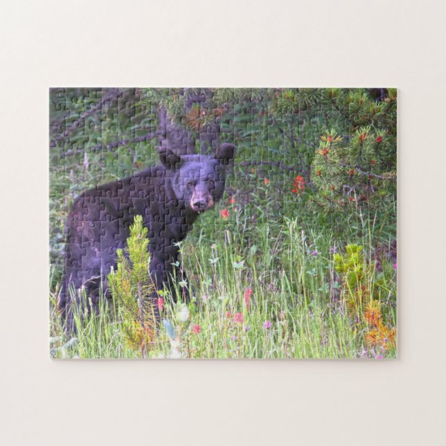 Black Bears Canada. Jigsaw Puzzle (Horizontal)
