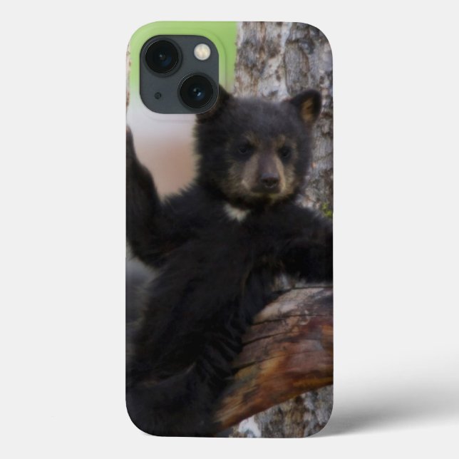 Black Bears Cub Lounging Case-Mate iPhone Case (Back)