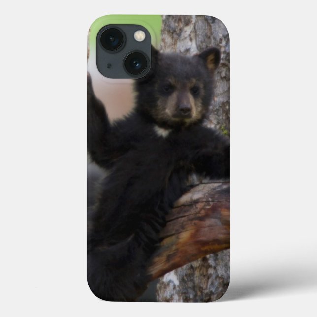 Black Bears Cub Lounging Case-Mate iPhone Case (Back)
