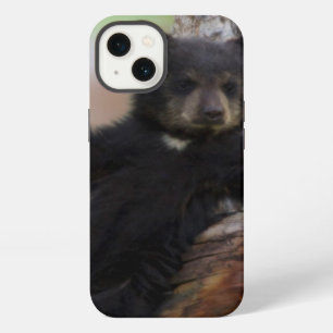 Black Bears Cub Lounging iPhone Case