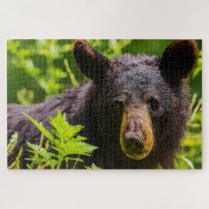 Black Bears. Jigsaw Puzzle