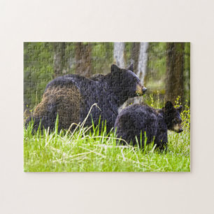 Black Bears Montana. Jigsaw Puzzle