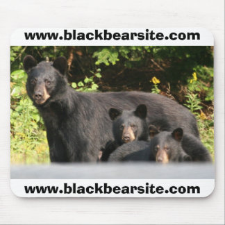 black bears mouse pad