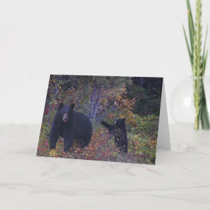 BLACK BEARS Wildlife Greeting Card
