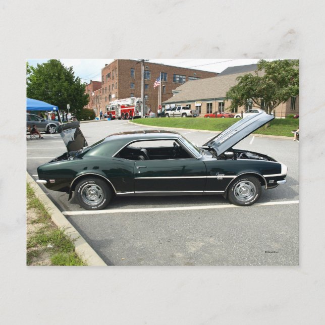 Black Beauty 2 Postcard (Front)