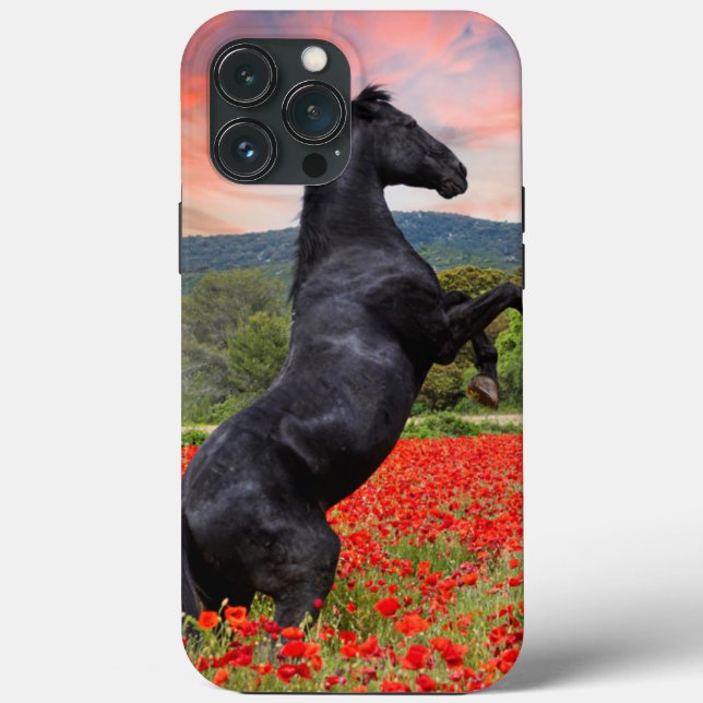 Black Beauty and Poppy Field Case-Mate iPhone Case (Back)