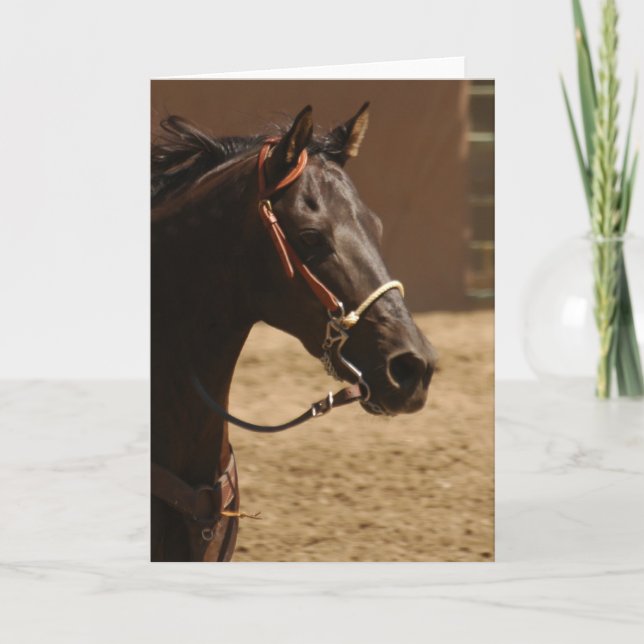 Black Beauty Blank Inside Greeting Card (Front)