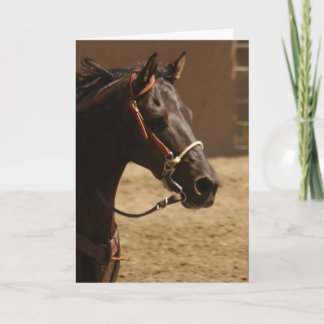 Black Beauty Blank Inside Greeting Card