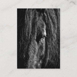 Black Beauty - Business Card