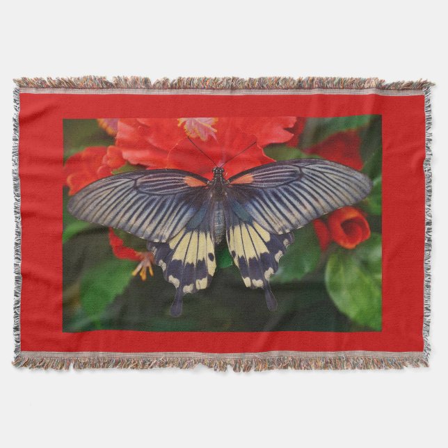 Black Beauty Butterfly Throw Blanket (Front)