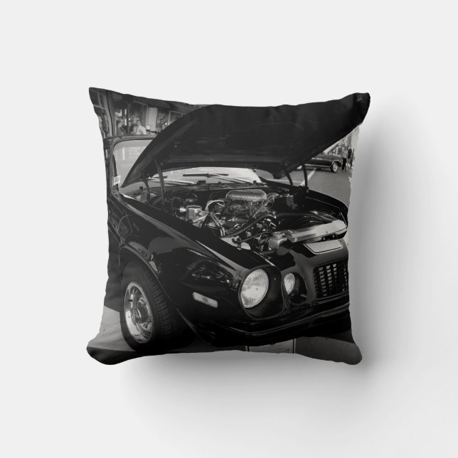 Black Beauty Cushion (Front)