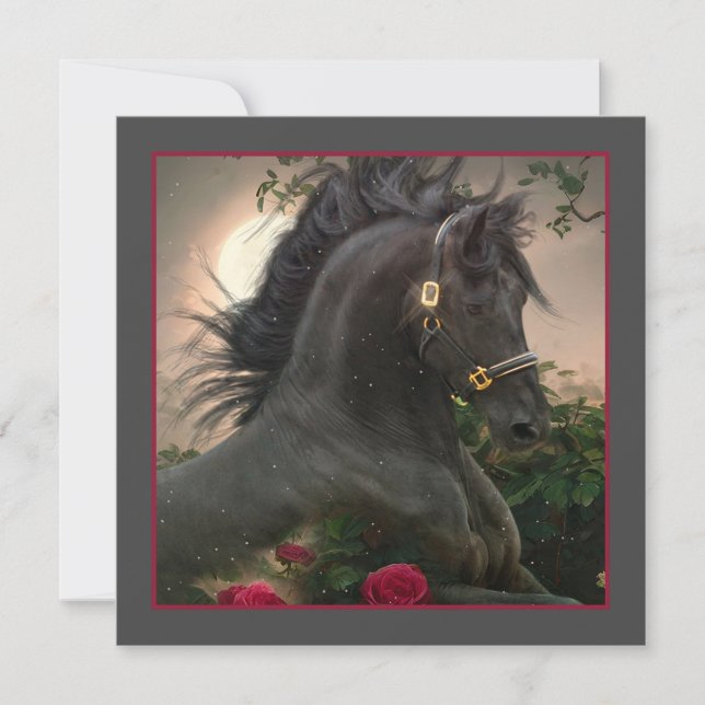 Black Beauty Friesian Horse - Greeting Card (Front)