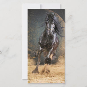 Black Beauty Friesian Horse - Greeting Card