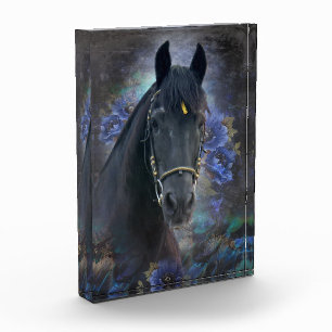 Black Beauty Friesian Horse - Photo Block