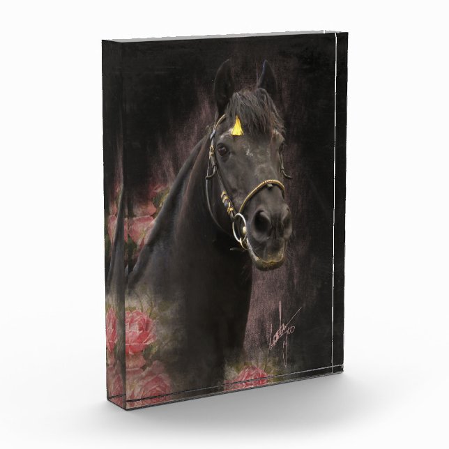 Black Beauty Friesian Horse - Photo Block (Left)