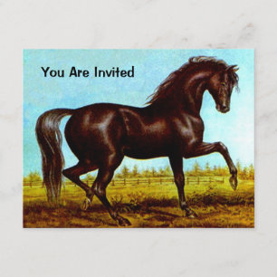 BLACK BEAUTY HORSE  BIRTHDAY PARTY INVITATION