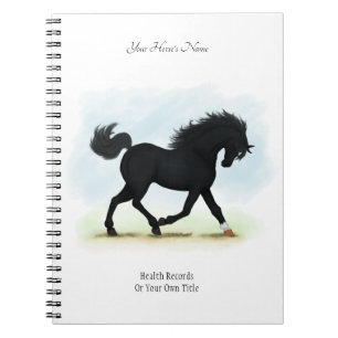 Black Beauty Personalised Horse Owner's Journal