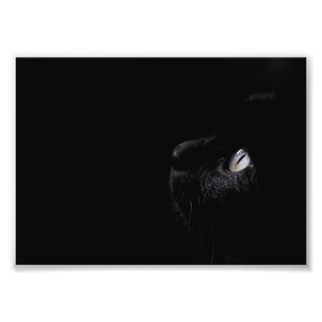 Black beauty, photo print (Front)