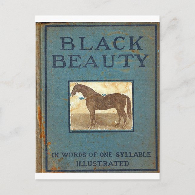 Black Beauty Postcard (Front)