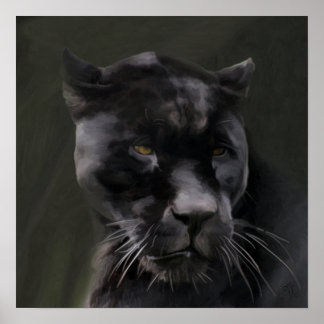 Black Beauty Poster