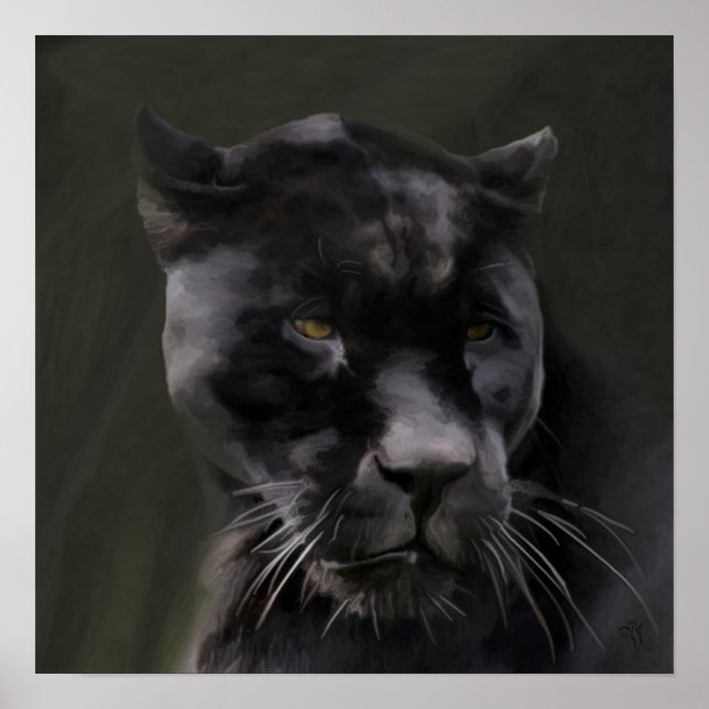 Black Beauty Poster (Front)