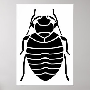 Black Bedbug Insect Poster