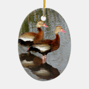 Black-bellied Whistling Duck Ceramic Tree Decoration