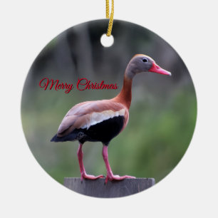 Black Bellied Whistling Duck, Merry Christmas Ceramic Ornament