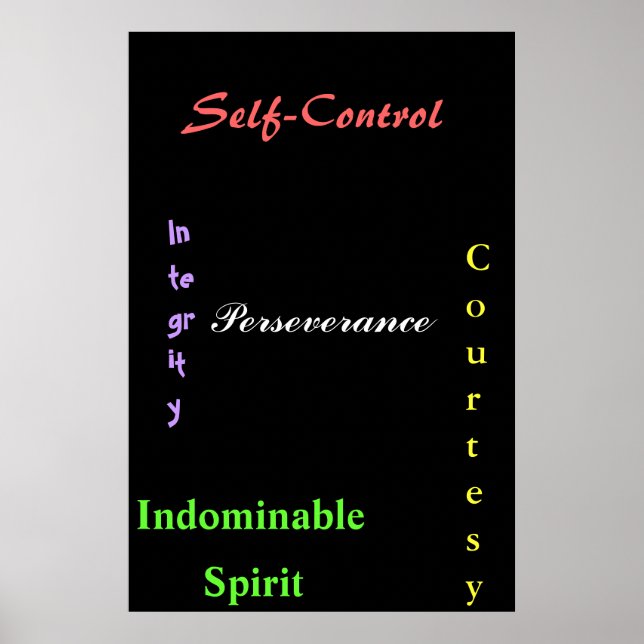 Black Belt Tenents Poster (Front)