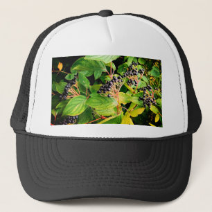 Black berries trucker hat