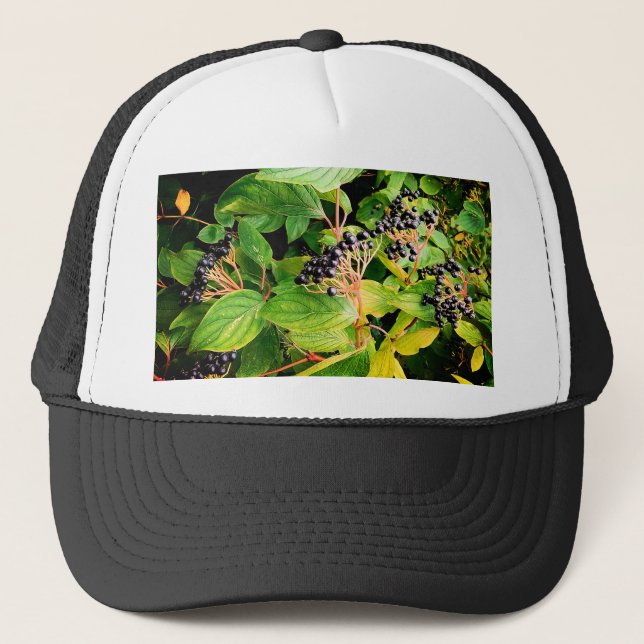 Black berries trucker hat (Front)