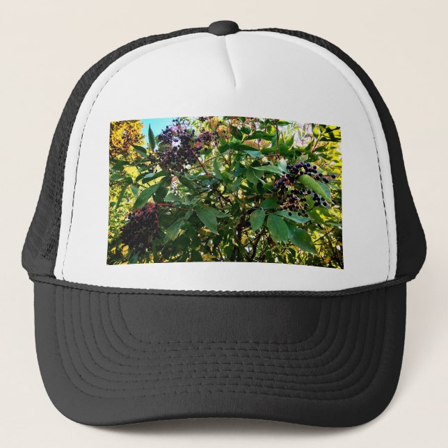 Black berries trucker hat (Front)