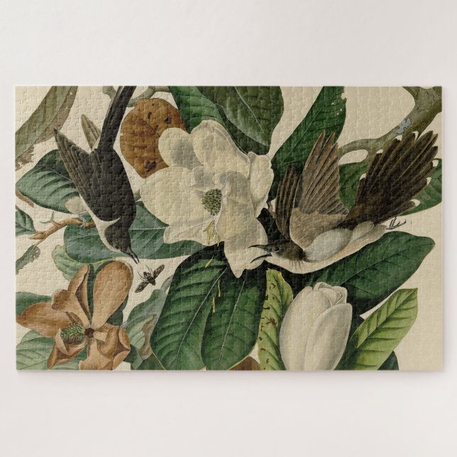 Black-billed Cuckoo - Audubon's Birds of America Jigsaw Puzzle (Horizontal)