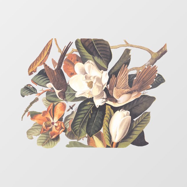 Black-Billed Cuckoo Bird (Sheet)